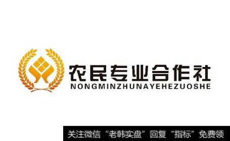 加大农民合作社培育支持力度,农民合作社题材<a href='/gainiangu/'>概念股</a>可关注