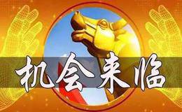 影响股价及走势的因素有什么？