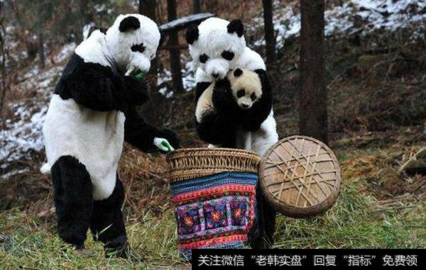 机构介入低位<a href='/cixingu/'>次新股</a>8000万；章盟主介入次新股股价涨停