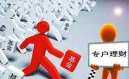 牙买加体系的混合汇率制度下的缺点有哪些？