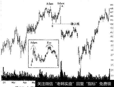 如图所示是Adam和Eve顶部的其他两个组合。