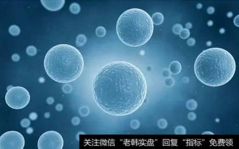 “通用”干细胞被创造出,通用干细胞题材<a href='/gainiangu/'>概念股</a>可关注