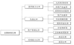 怎样从财务比率分析和盈利能力比率角度解读财务报表？