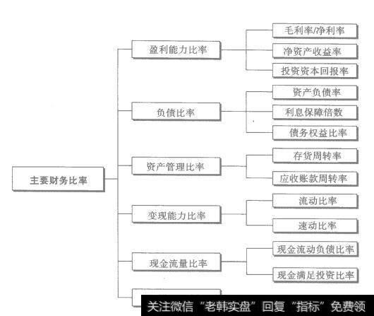 图2-7 主要财务比率