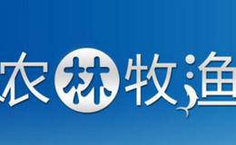 杨德龙股市点评：一号文件助力农林牧渔板块崛起 未来市场走势将超预期