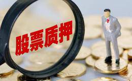 股票基础知识:股票质押申请延期原因有哪些?投资者如何申请延期购回?