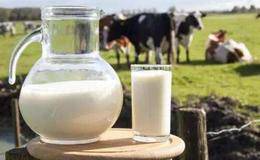 生鲜乳如期转暖,生鲜乳题材概念股可关注