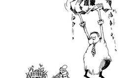 瞒天过海的筹码获取：坐庄的前期筹划