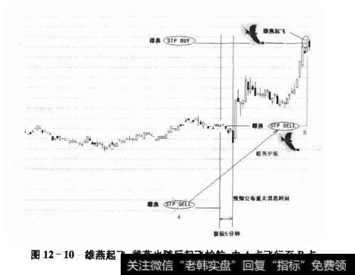 图12-10雄燕起飞,雌燕也随后起飞护航，由A点飞行至B点