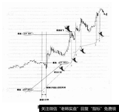 图12-11雌燕的护航之旅