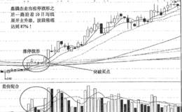 涨停旗形擒大牛之嘉麟杰