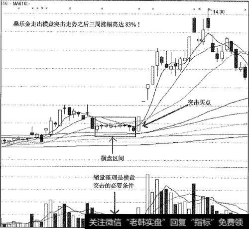 桑乐金横盘突击