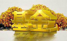 在设立对冲基金的时候需要注意什么？