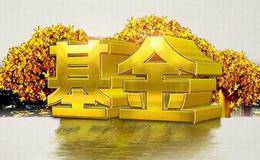 在对冲基金的投资中越少越好吗？