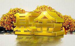 基金投资中如何构建伙伴关系？