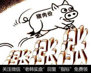 烟台市蔬菜零售价格回落 猪肉价格或将上涨