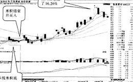 用“米粒底”抄底——米粒底结束日买入之案例二