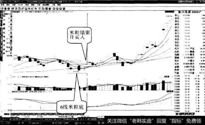 秦川发展“米粒底”形态7