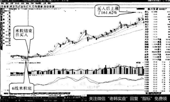 秦川发展“米粒底”形态8