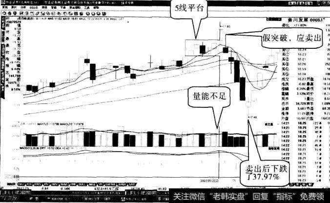 秦川发展“米粒底”形态9