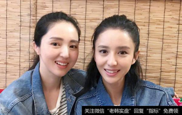 资金狂买软件、芯片的细分龙头;短线调整一步到位