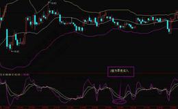 什么是股票的代码？股票的基本功能是什么？