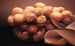 鸡蛋概念股受关注 8月鸡蛋价格持续攀升