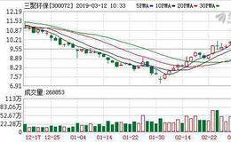 三聚环保：融资净买入1715.32万元，融资余额16.51亿元（03-11）
