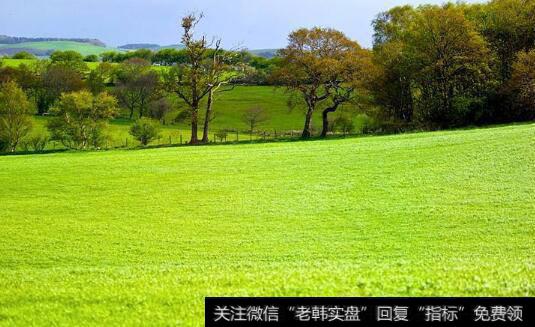 叶檀最新<a href='/caijunyi/290233.html'>股市</a>评论:未来30年中国最大的机会在农村!