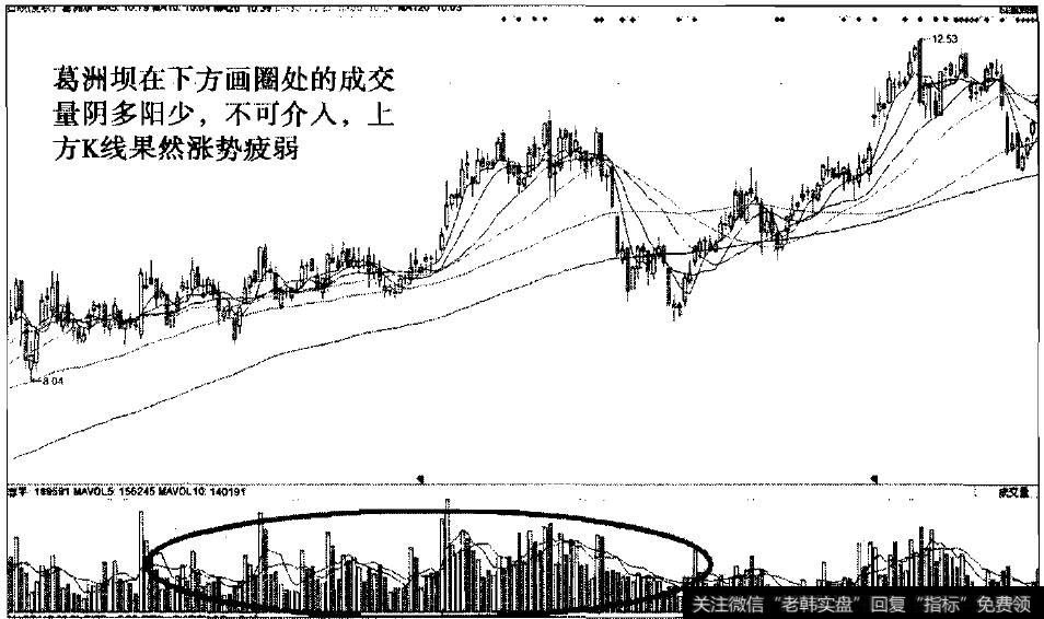 阴量白骨精之葛洲坝