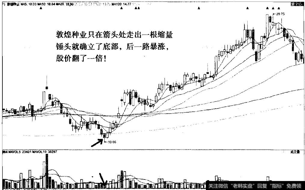 缩量锤形线之敦煌种业