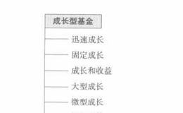 什么是共同基金投资目标？ 有哪些新的投资目标 ？