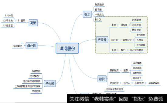 洋河股份关系网概览