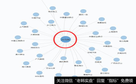 白马股&一线/行业龙头