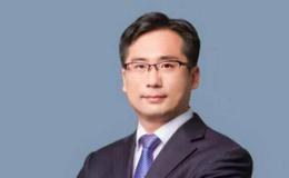 杨德龙股市评论：把握历史大底建仓良机