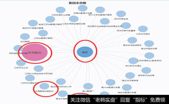 洋河母公司全景图