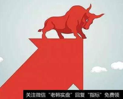 年报行情或展开关注亮点