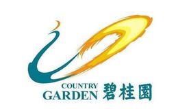 马红漫最新股市评论：“提质控速”后，它用这份年报证明了自己