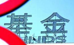 其他备选基金还有哪些？ 备选的基金还有哪些情况？