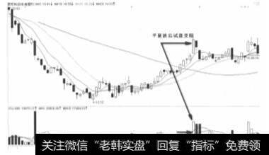 蒙发利2012年2月24平量波走势图