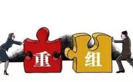 严为民最新股市评论：这是我选<em>重组股</em>的流程！