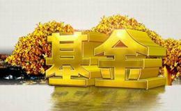 融智中国对冲基金指数的发展如何？