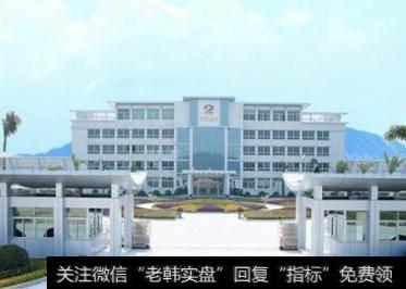 康美实业