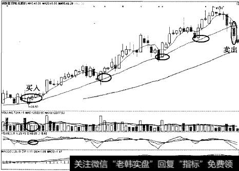 以20日线为生命线“点头送客”涨1倍的案例之保龄宝