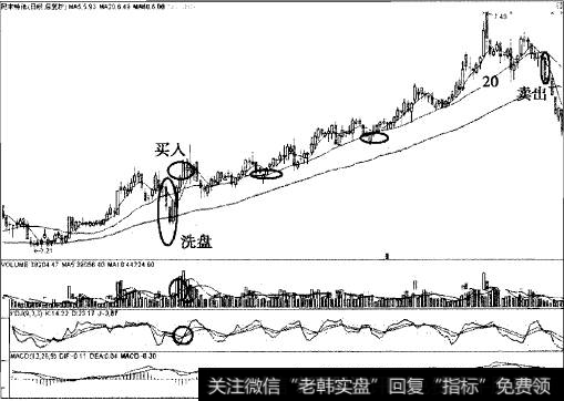 民丰特纸以20日线为生命线龙出红海中线翻倍的案例