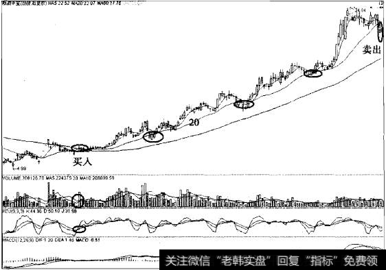 新湖中宝以20日线为生命线中线翻4倍的传奇案例