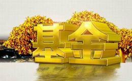 对冲基金业绩有哪些常见的评价方法？