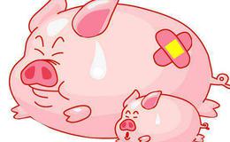 晋城市猪价快速反弹 推动猪肉价格上升