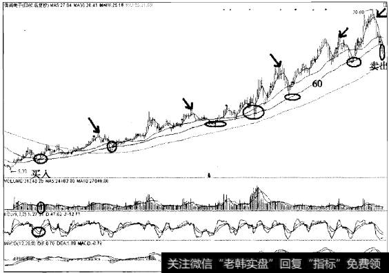 得润电子以60日线为生命线中线翻6倍的传奇案例