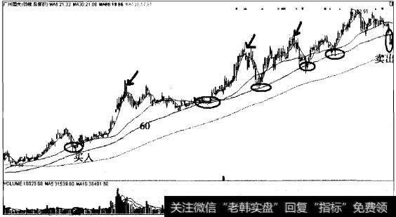 广州国光以60日线为生命线中线翻3倍的传奇案例